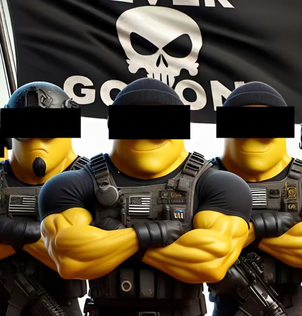 Minions punisher flag formation